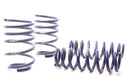 H&R 07-11 BMW 328i Sedan/335i Sedan E90 Race Spring-1